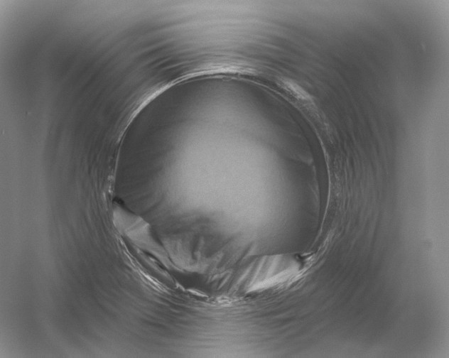X0000054361369200508262303