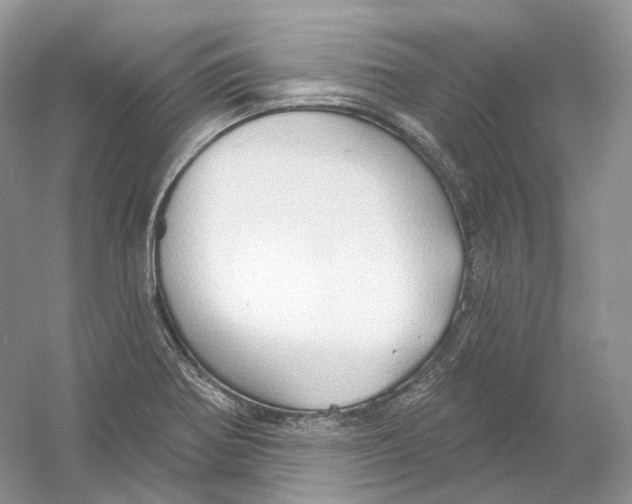 X0000054361370200508262303