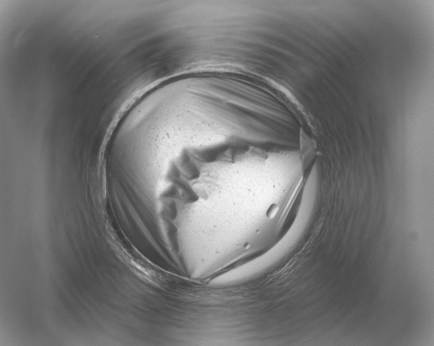 X0000054361371200508262303