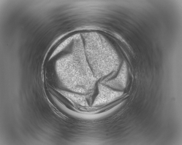 X0000054361372200508262303