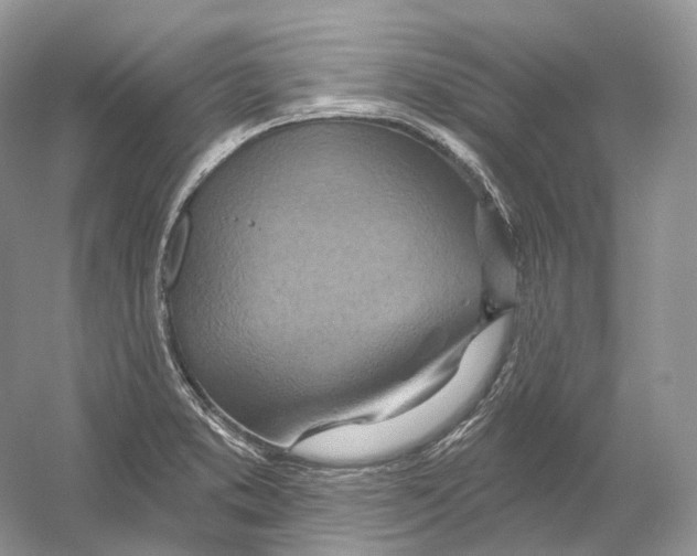 X0000054361373200508262303