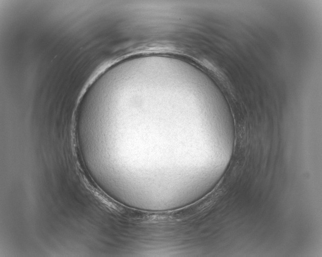 X0000054361374200508262303