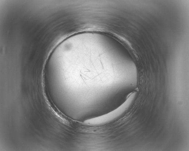 X0000054361375200508262303