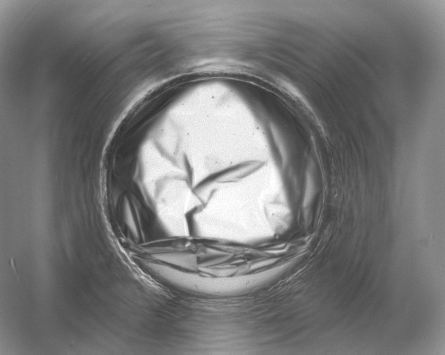 X0000054361376200508262303