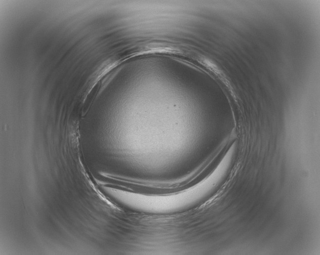 X0000054361377200508262303