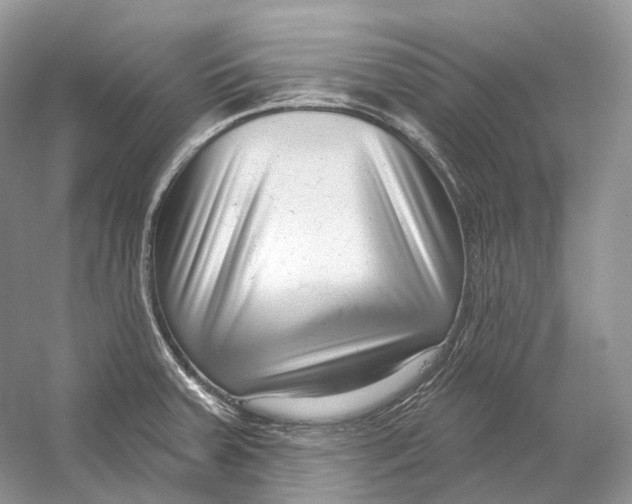X0000054361379200508262303