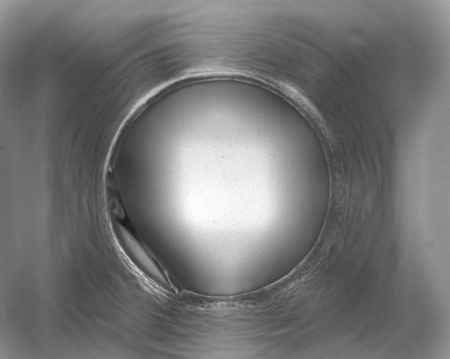 X0000054361380200508262303