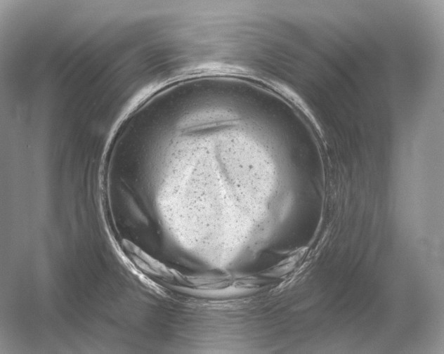 X0000054361381200508262303