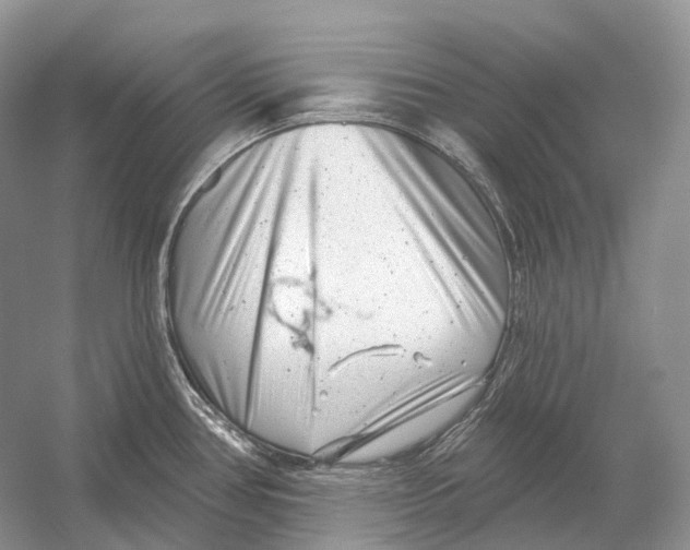 X0000054361386200508262303