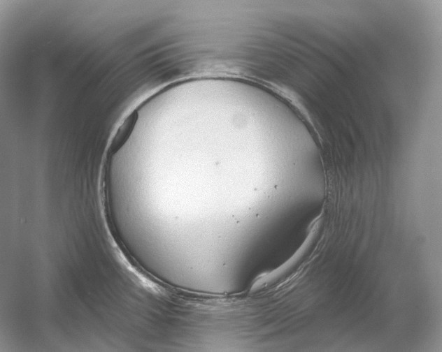 X0000054361387200508262303
