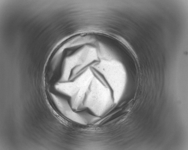 X0000054361388200508262303