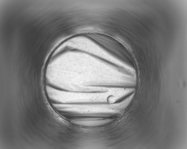 X0000054361392200508262303