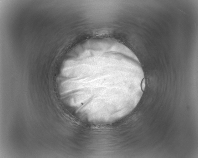 X0000054361393200508262302