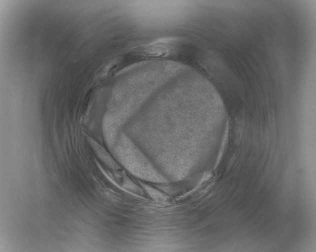 X0000054361394200508262302