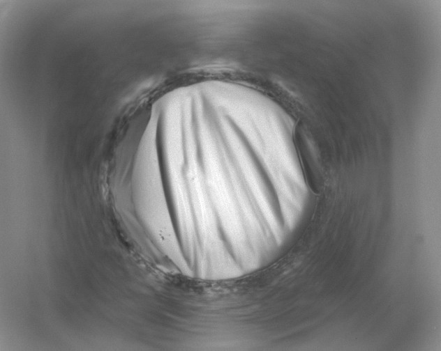 X0000054361398200508262302