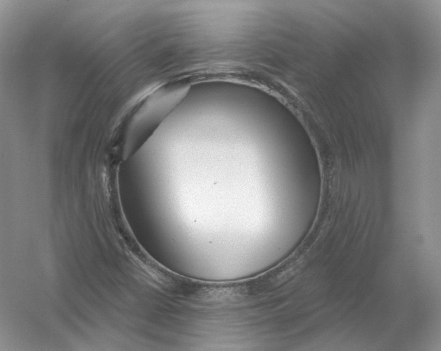 X0000054361402200508262302
