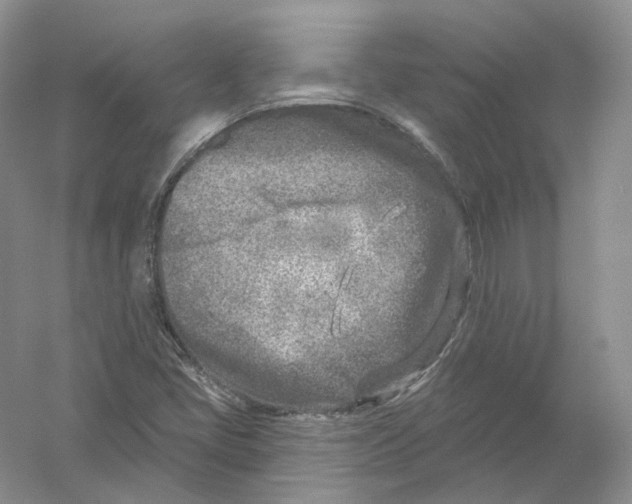 X0000054361405200508262302