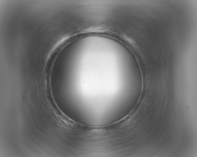 X0000054361406200508262302