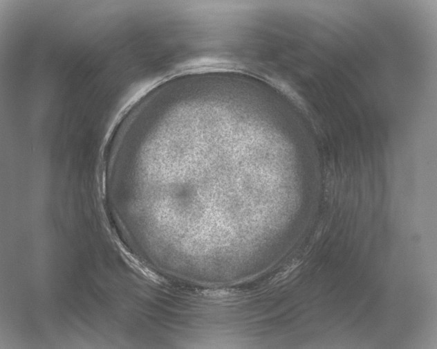 X0000054361413200508262303