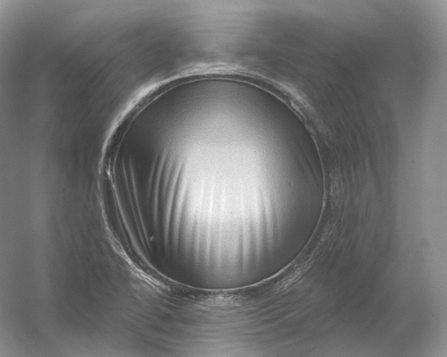 X0000054361414200508262303