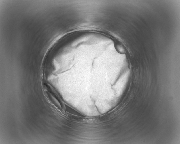 X0000054361415200508262303