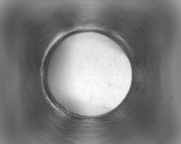 X0000054361416200508262303