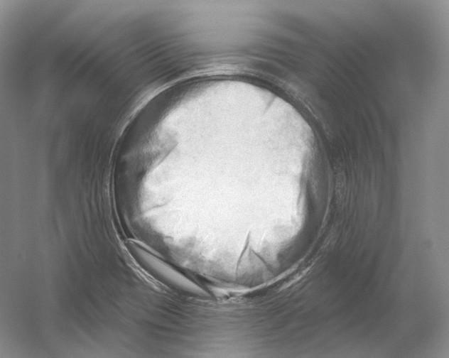 X0000054361417200508262303