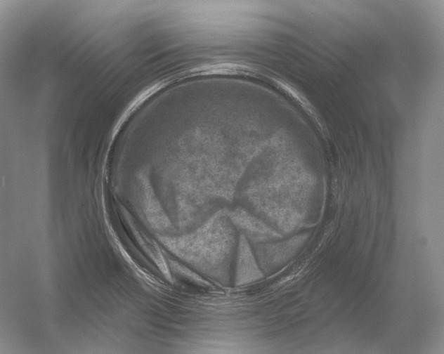 X0000054361418200508262303
