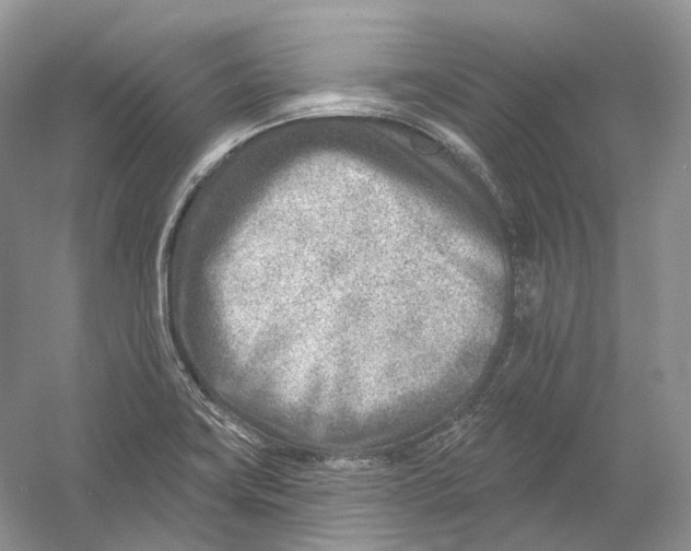 X0000054361419200508262303