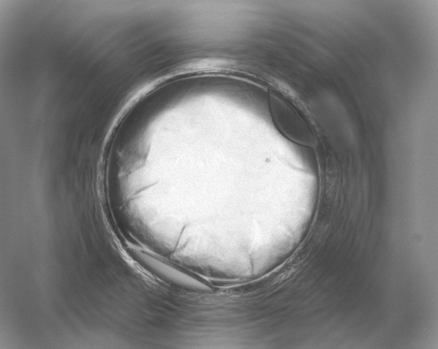 X0000054361421200508262303
