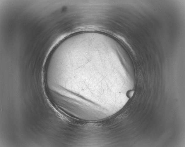 X0000054361424200508262303