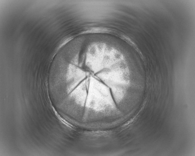 X0000054361425200508262303