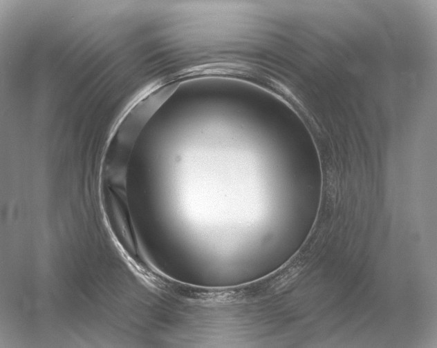 X0000054361426200508262303