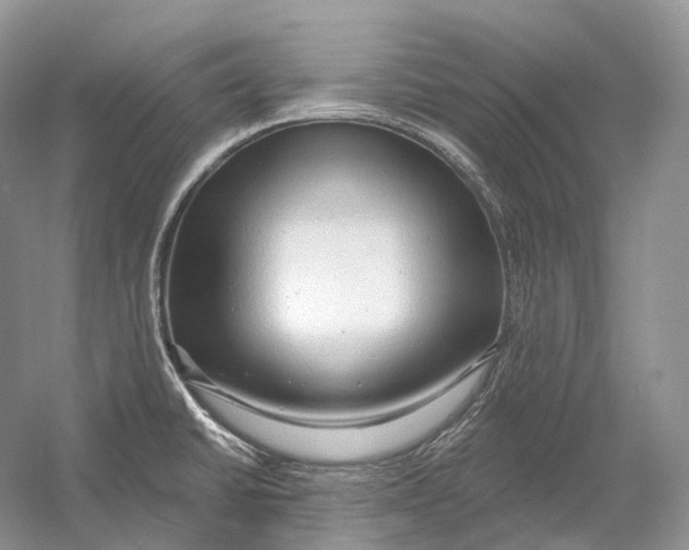 X0000054361430200508262303