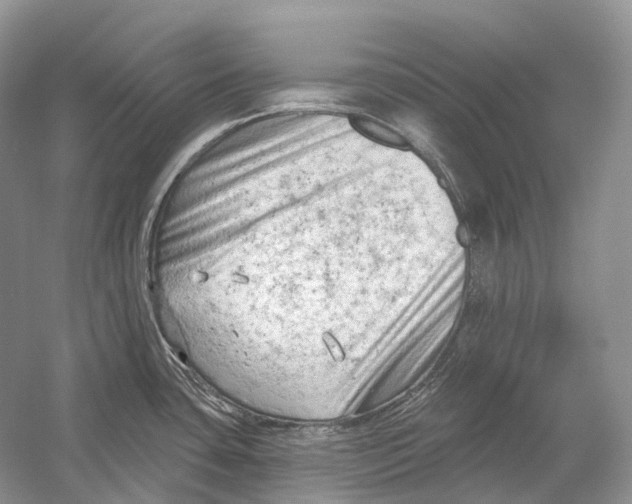 X0000054361435200508262303