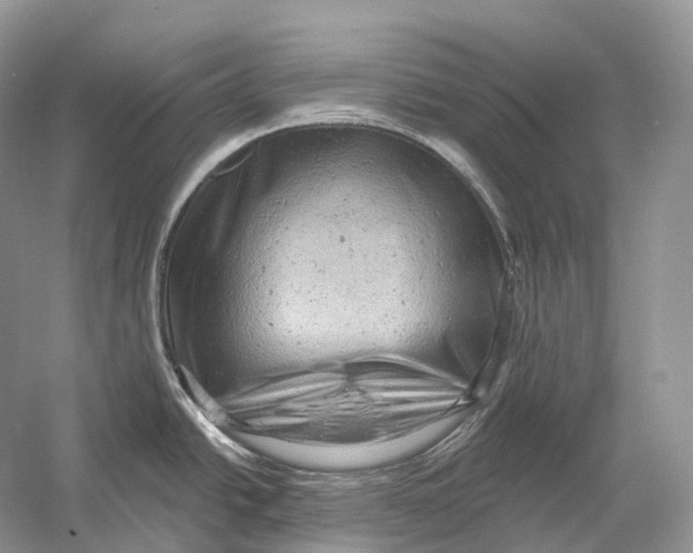X0000054361438200508262303