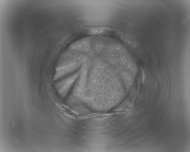 X0000054361441200508262302