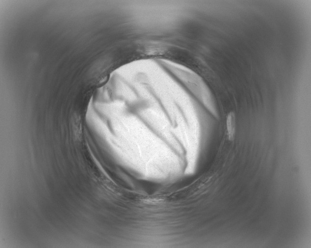 X0000054361443200508262302
