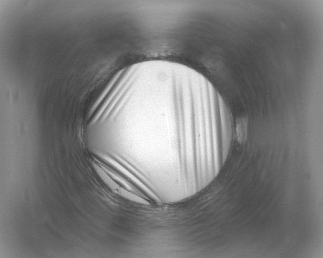 X0000054361444200508262302