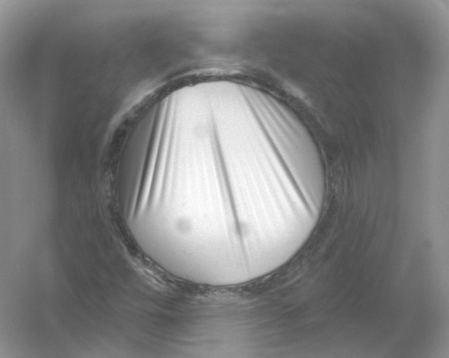 X0000054361448200508262302