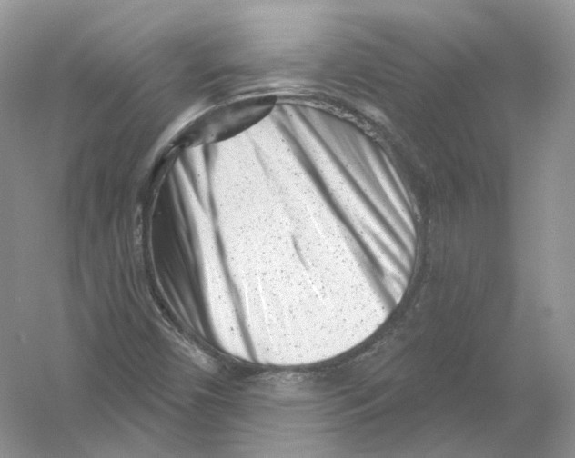 X0000054361450200508262302