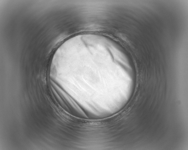 X0000054361451200508262302