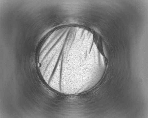 X0000054361452200508262302