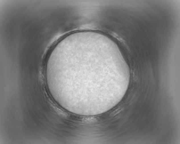 X0000054361454200508262302