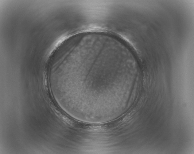X0000054361455200508262302