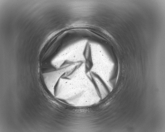 X0000054361461200508262302