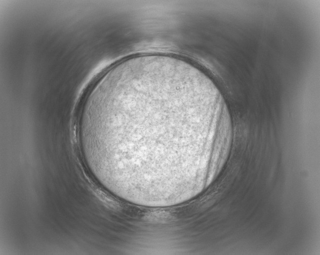 X0000054361462200508262302