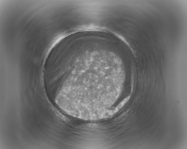 X0000054361463200508262302