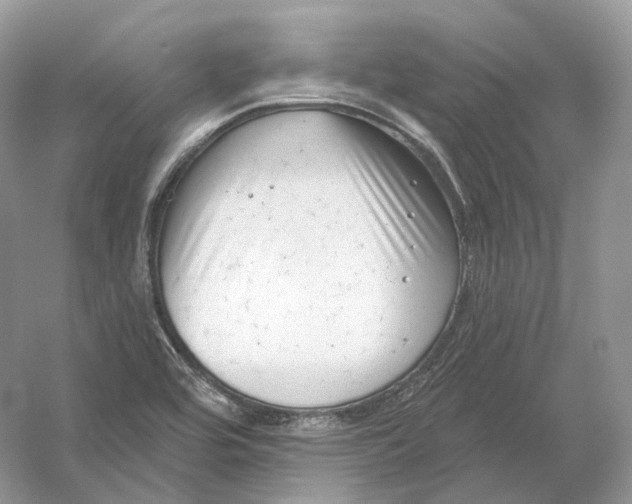 X0000054361464200508262302