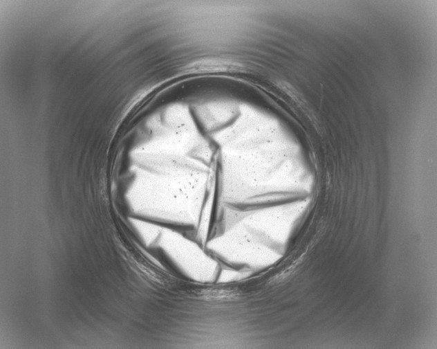 X0000054361465200508262302